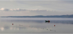 24 Fisherman On The Misty Lake by James McCracken