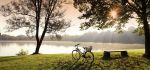 28 Lakeside Bike by Vicky Sinclair