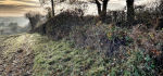 16 Look At The State Of The Country These Days by Emyr Williams