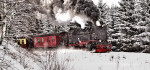 21 Harz Mountain Steam by Mike Mitchell