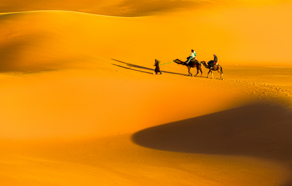 14 Camel Treck by Jim Turner