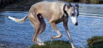 06 I'm Not Happy by Sue Case