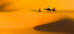 14 Camel Treck by Jim Turner