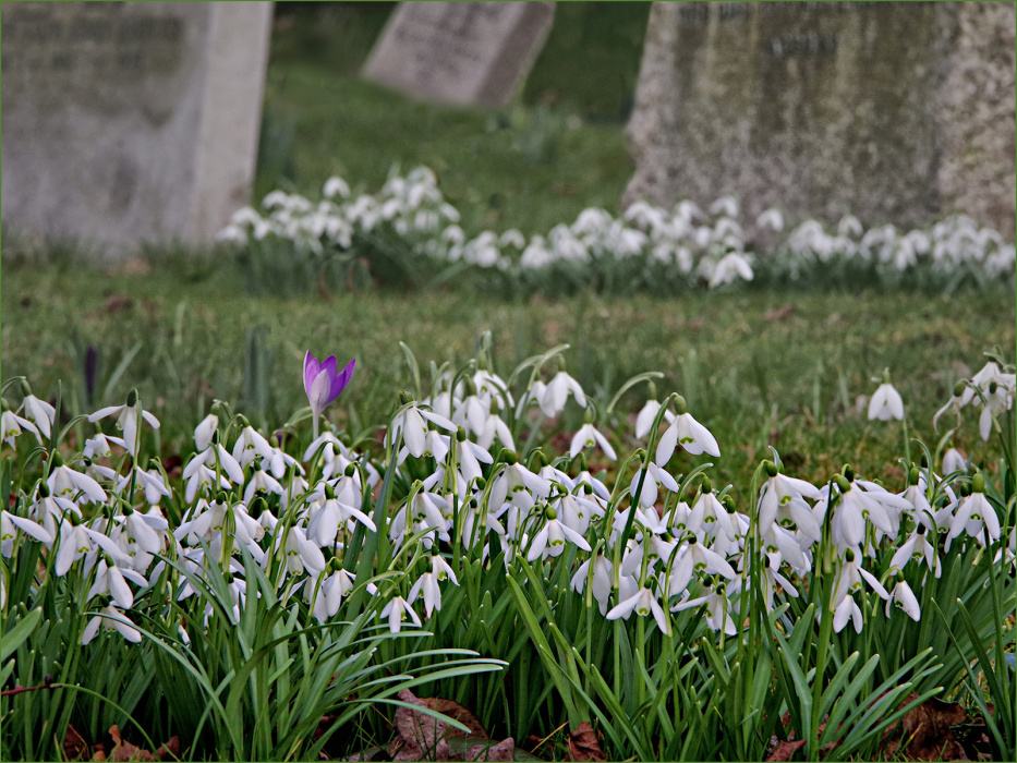 28 Churchyard In February by Philip Byford
