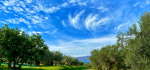 22 Angels Over Abruzzo by Emyr Williams