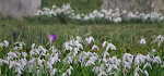 28 Churchyard In February by Philip Byford