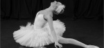 32 Swan Lake by Rob Harley