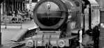 22 Full Steam Ahead by Mike Mitchell