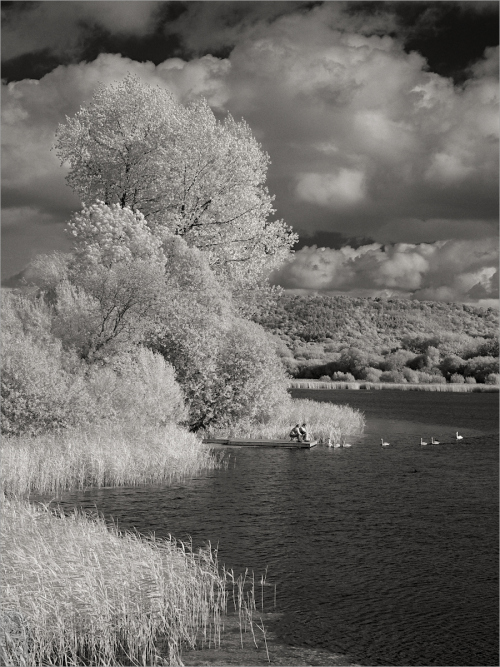 29 Lake Scene In IR by Philip Byford
