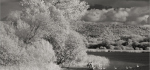 29 Lake Scene In IR by Philip Byford