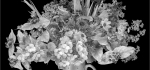 14 Flower Arrangement by John Humphrey