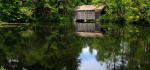 08 The Covered Bridge by Ully Jorimann