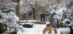14 Snow In A Mountain Village by James McCracken