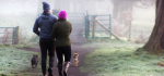 26 A Walk In The Woods by Sue Case