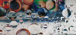 23 Circles by Sue Case
