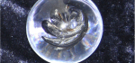 27 The Unknown Embryo by Hilary Moore
