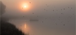 GENTLE-START-TO-THE-DAY