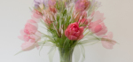 Multiple Exposure 9452-9459 (only 4 used)
4th CP 2024-04-08.
Pref 01.  Score ???/20.
"Vase of Flowers".