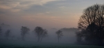 Misty morning by Graham Hutchinson