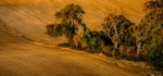 Remains of the day by Jim Turner