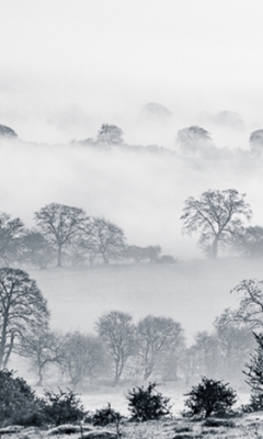 Mist in the valley by Jim Turner