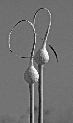 Natural sculpture by Ian Shaw