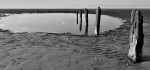 31 Stumped On A Dull Day by Hilary Moore