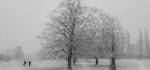 08 One Winters Morning by Sue Case