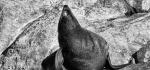 14 That's The Spot by Hilary Moore