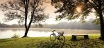 28 Lakeside Bike by Vicky Sinclair