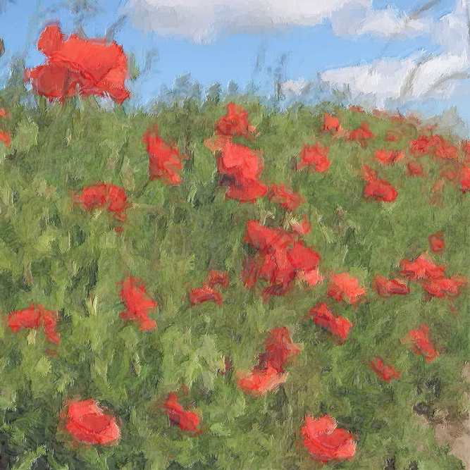 1.05-Poppies-after-Monet
