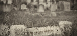 In loving memory by Philip Byford