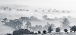 Mist in the valley by Jim Turner