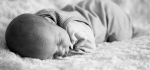 Peace and quiet by Sue Case