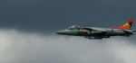 A Harrier Just Hovering Around