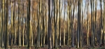 Firm foundations by Philip Byford
