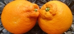 Go on sweetheart, please give us a kiss by Emyr Williams
