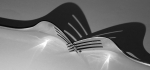 Fork team creative image