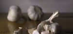 Garlic challenge