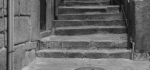 02-ALLEY-CAT