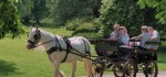 26-ONE-HORSEPOWER-TAXI