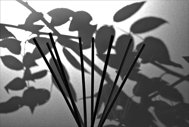 03-02-CHINESE-SHADOWS-by-Mike-Mitchell-790
