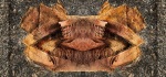 15-3-PATTERN-AND-TEXTURE-by-Rob-Harley-A-2017.jpg-790