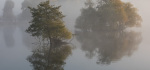 03-2 Morning Tranquility